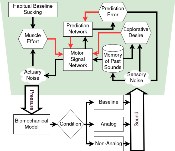 Self-Exploration in Infants